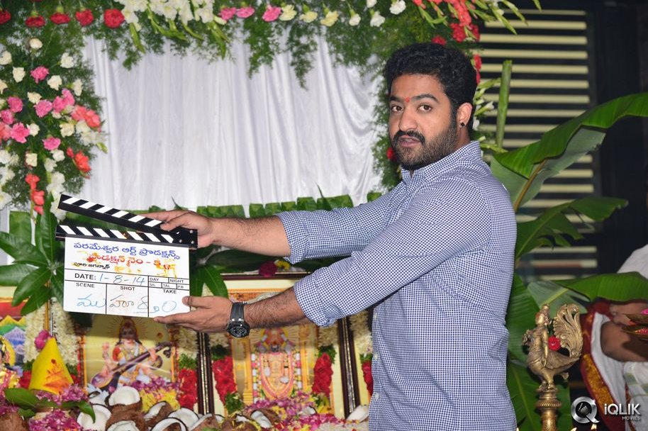 Ntr-and-Puri-Jagannadh-Movie-Opening